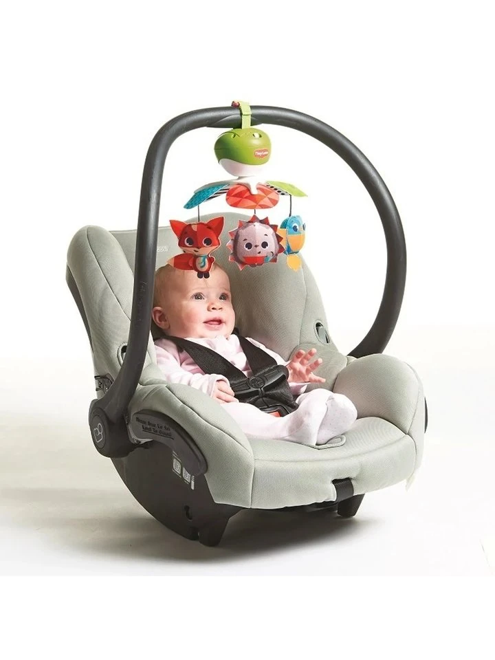 karuzela-podrozna-zabawa-na-lace-tiny-love-2